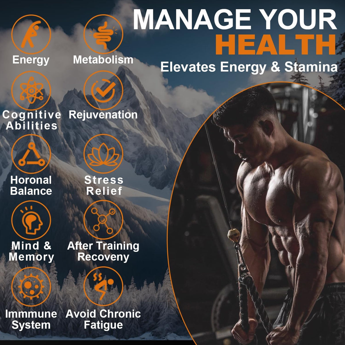 Googeer Shilajit Resin Supplement – Natural Himalayan Wellness Support