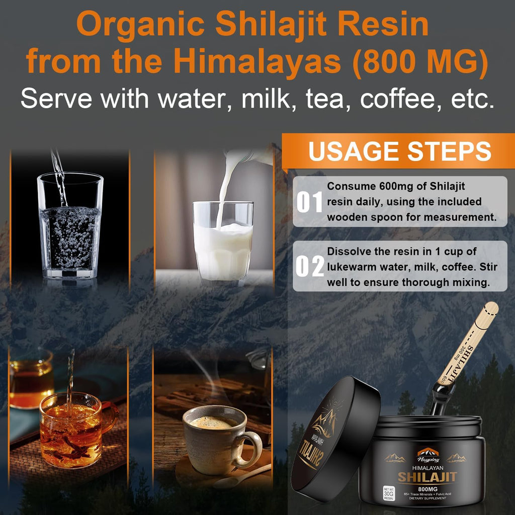 Googeer Shilajit Resin Supplement – Natural Himalayan Wellness Support