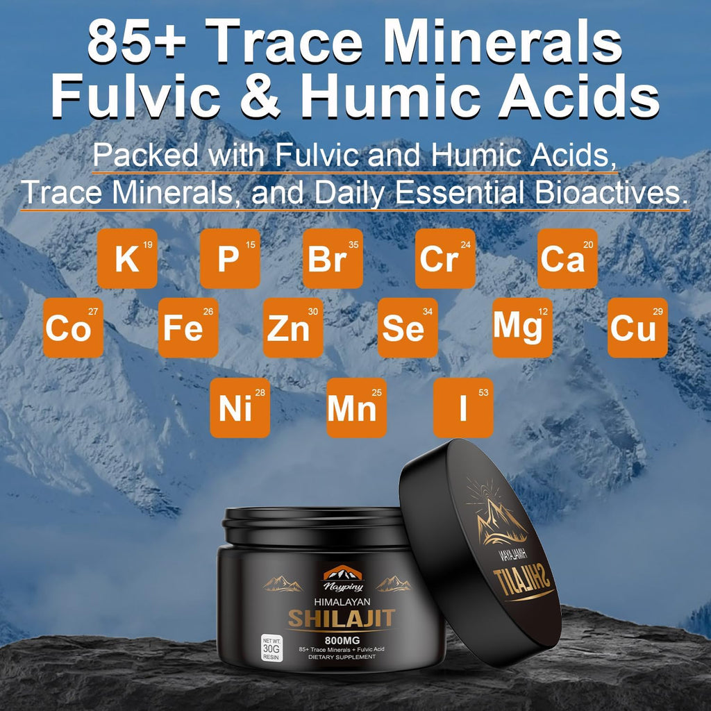 Googeer Shilajit Resin Supplement – Natural Himalayan Wellness Support