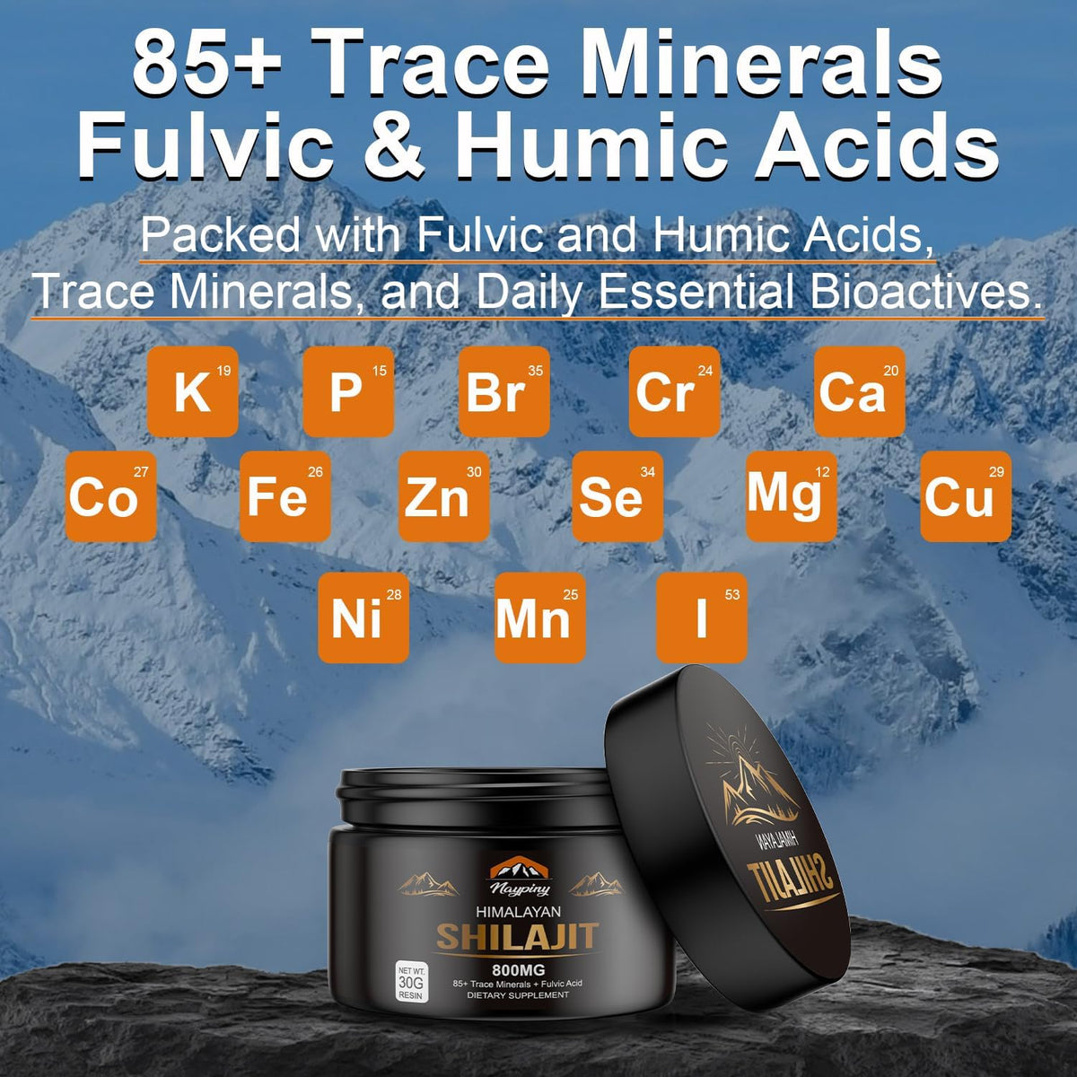 Googeer Shilajit Resin Supplement – Natural Himalayan Wellness Support