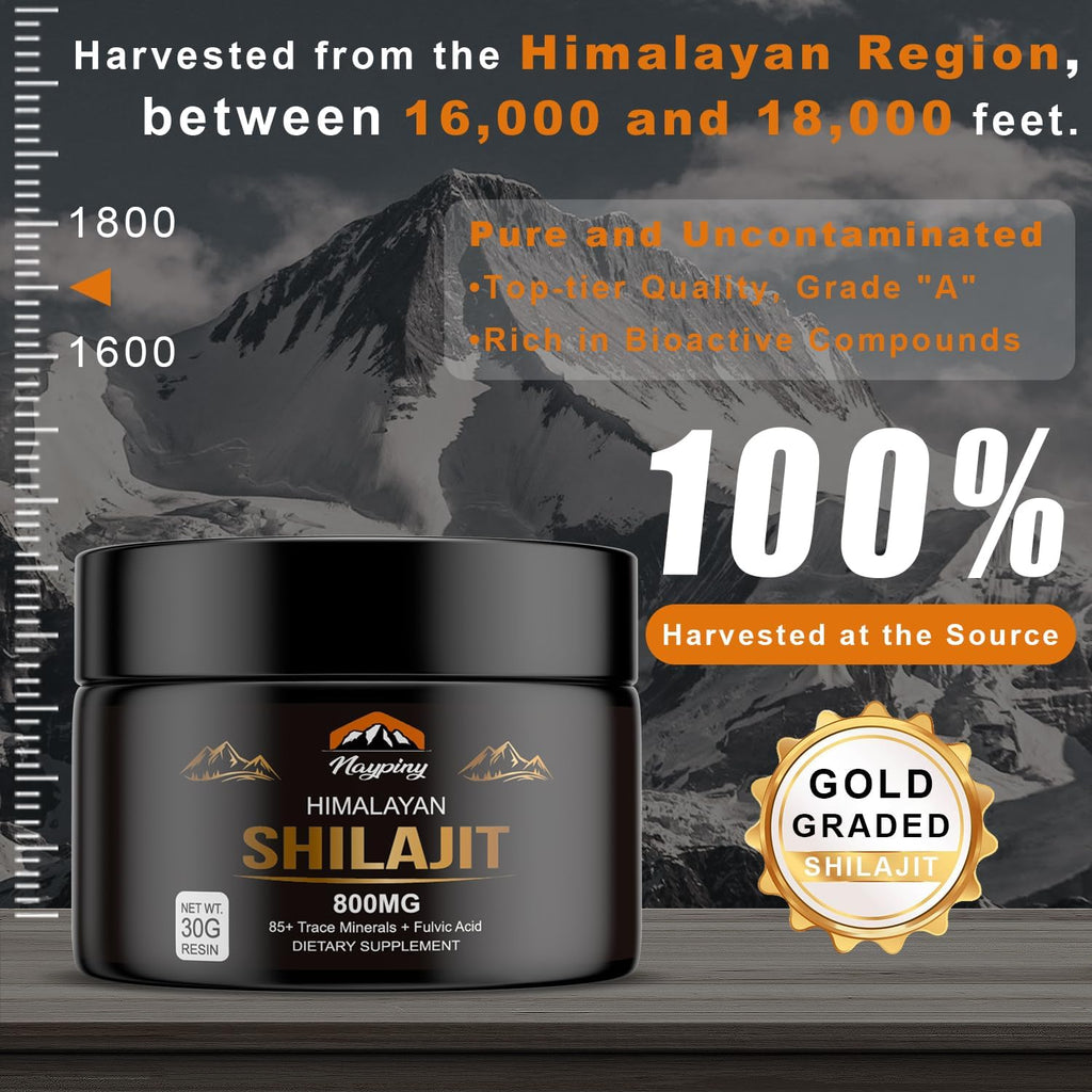 Googeer Shilajit Resin Supplement – Natural Himalayan Wellness Support